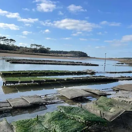 Maison Avec Jacuzzi Proche Des Plages * Le Bernard
