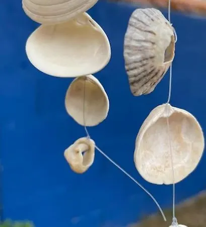 Maison Avec Jacuzzi Proche Des Plages Feriehus Le Bernard