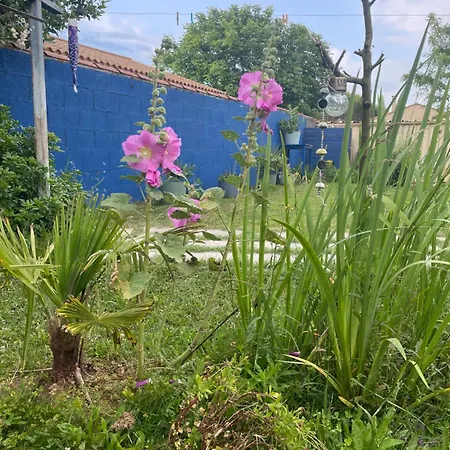 Maison Avec Jacuzzi Proche Des Plages *