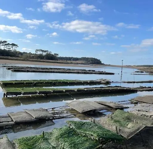 Maison Avec Jacuzzi Proche Des Plages * Le Bernard