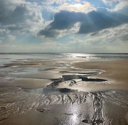 Maison Avec Jacuzzi Proche Des Plages *