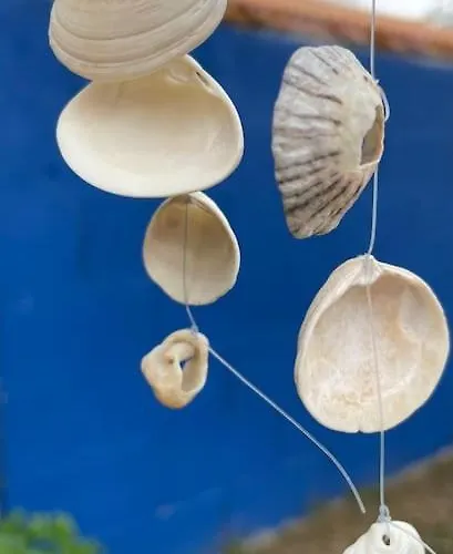 Maison Avec Jacuzzi Proche Des Plages Casa de Férias Le Bernard