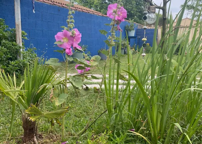 Maison Avec Jacuzzi Proche Des Plages *